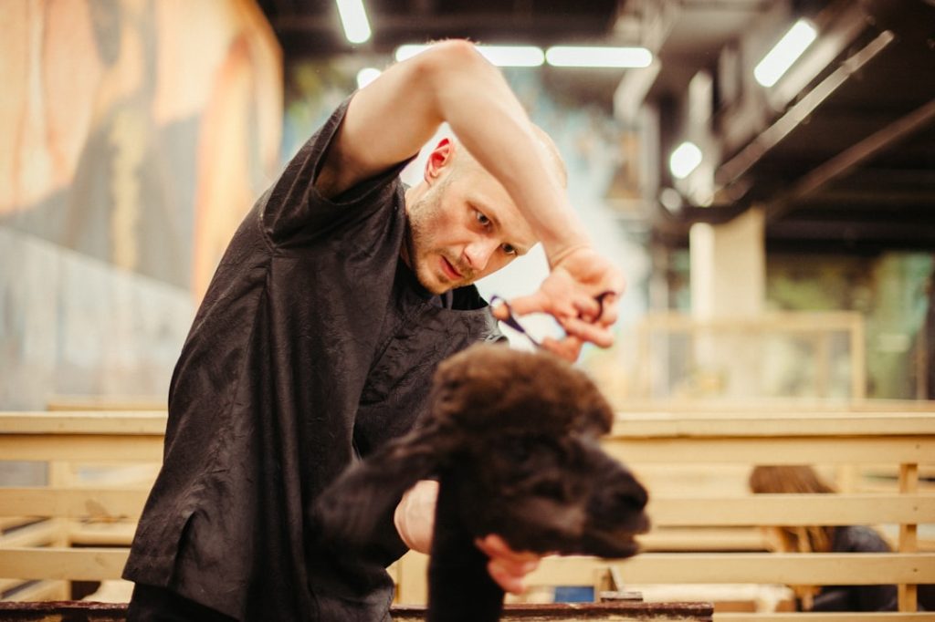 barber Sosnowiec - strzyżenie męskie w Sosnowiec